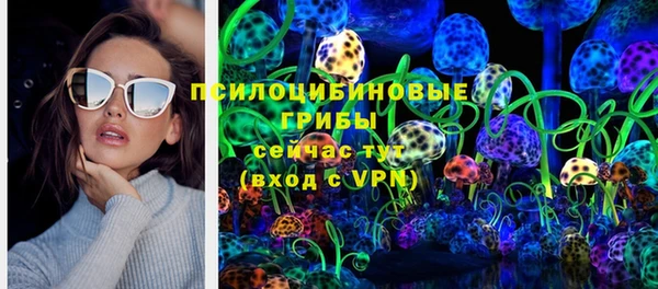 spice Алексин
