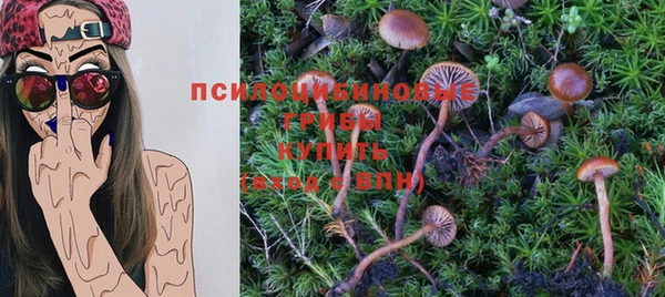 ешки Алзамай